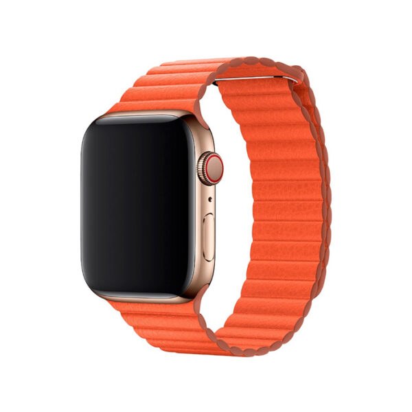 Apple Watch Series 6